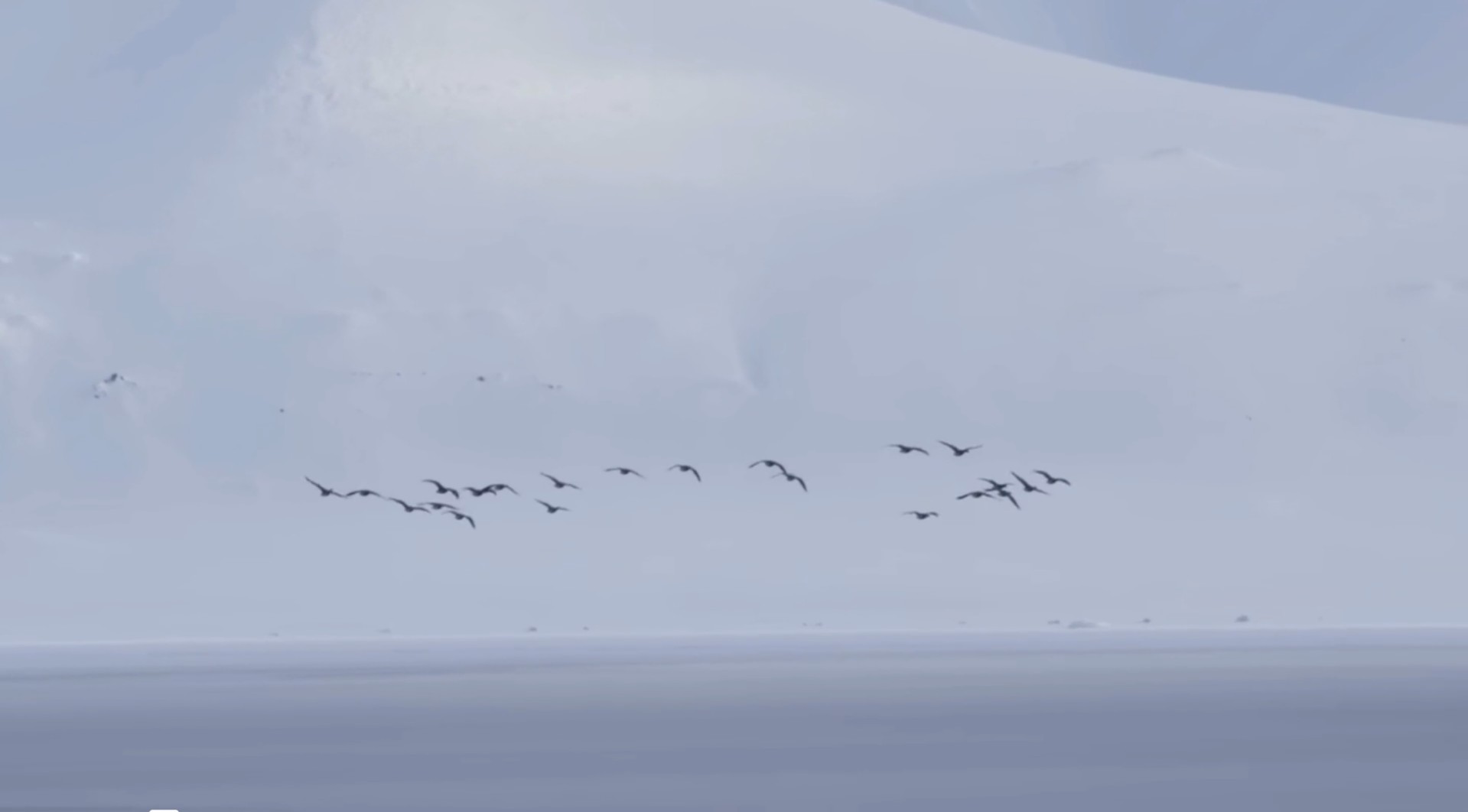 Упражнение Дыхание через череп